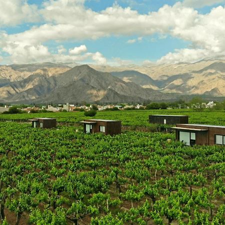 El Porvenir Wine Lodge Cafayate Buitenkant foto