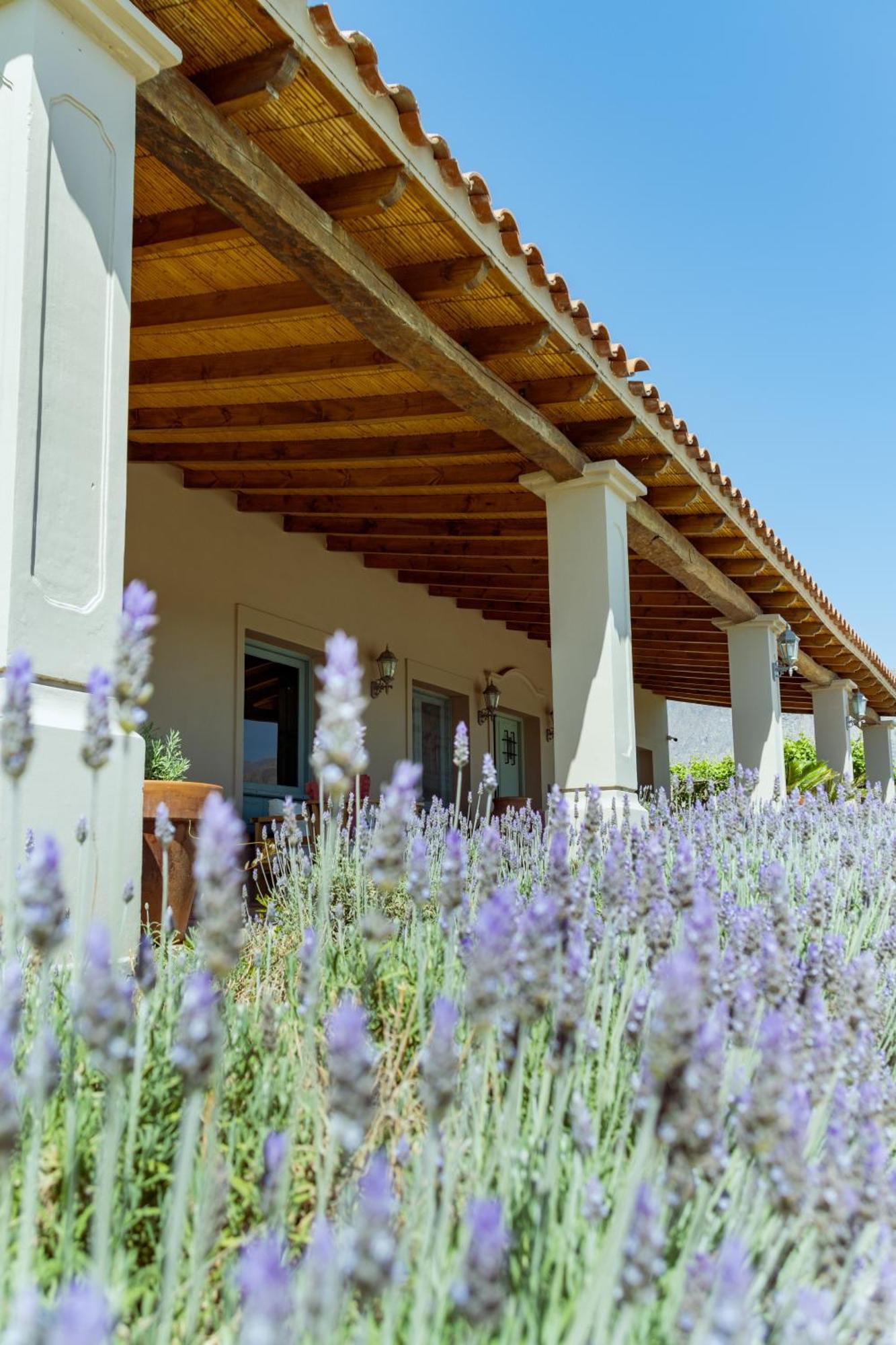 El Porvenir Wine Lodge Cafayate Buitenkant foto