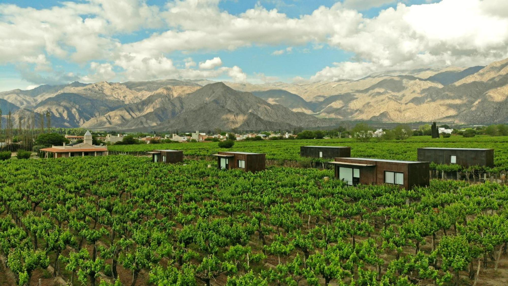 El Porvenir Wine Lodge Cafayate Buitenkant foto