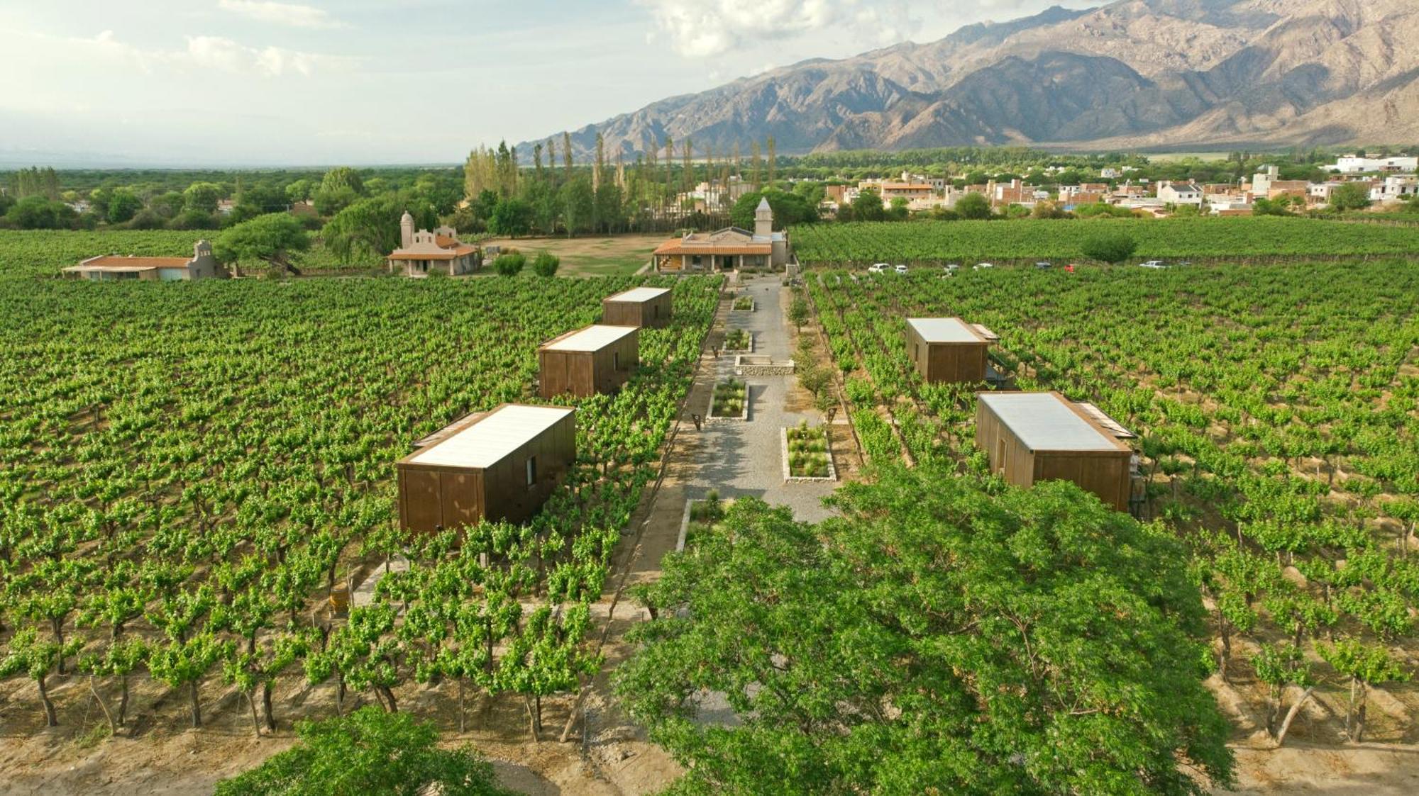 El Porvenir Wine Lodge Cafayate Buitenkant foto