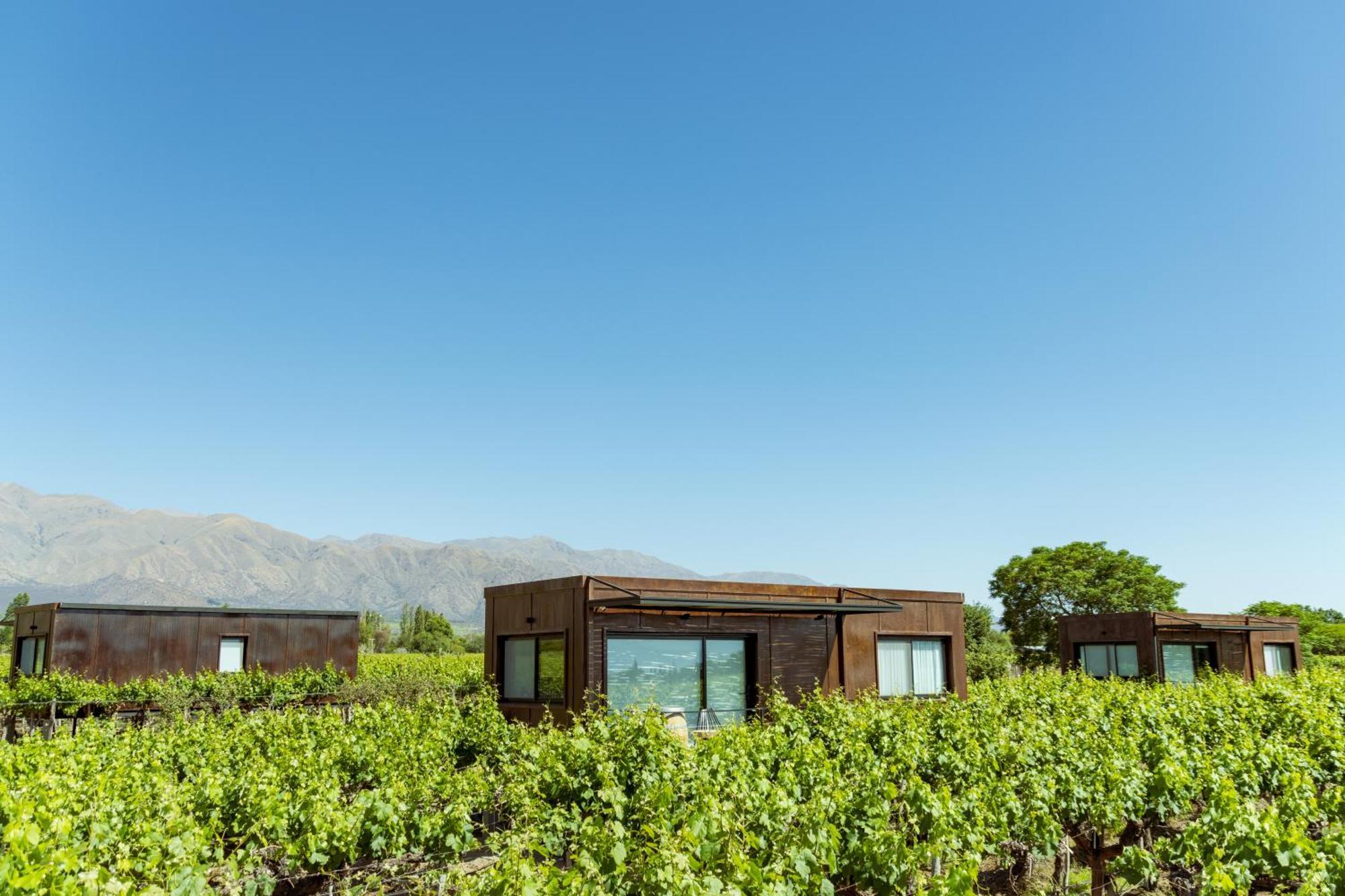 El Porvenir Wine Lodge Cafayate Buitenkant foto