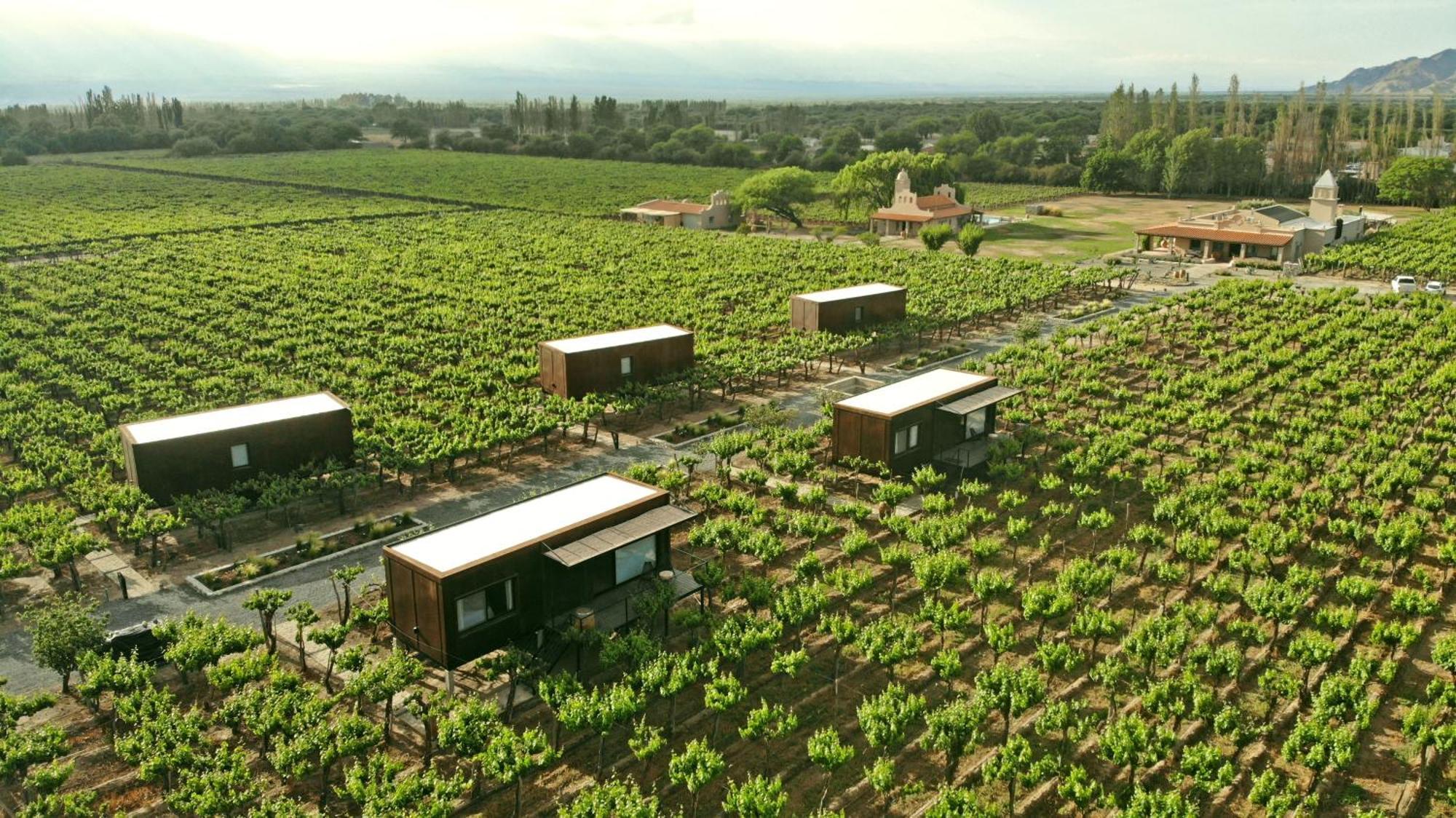 El Porvenir Wine Lodge Cafayate Buitenkant foto