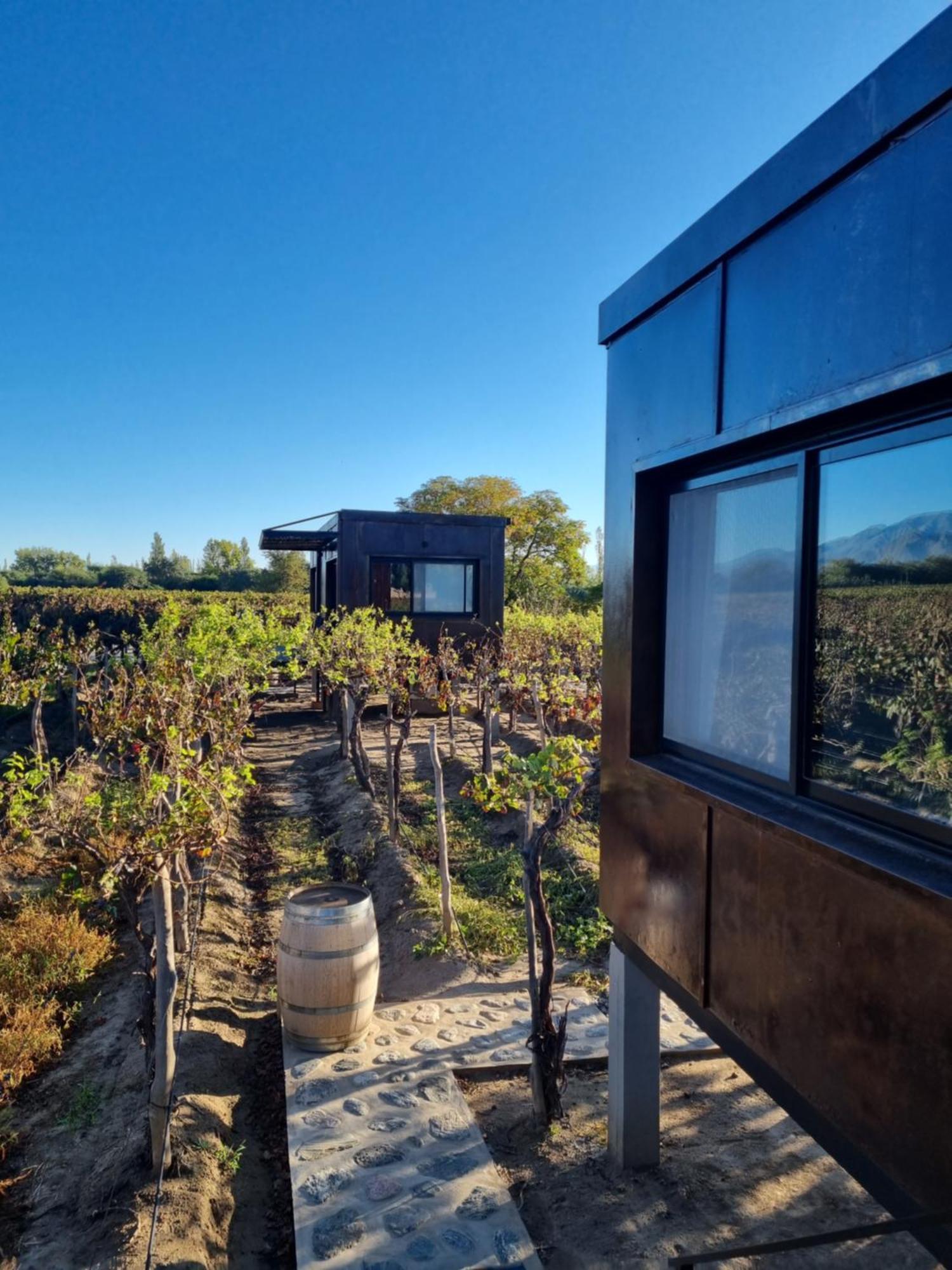 El Porvenir Wine Lodge Cafayate Buitenkant foto